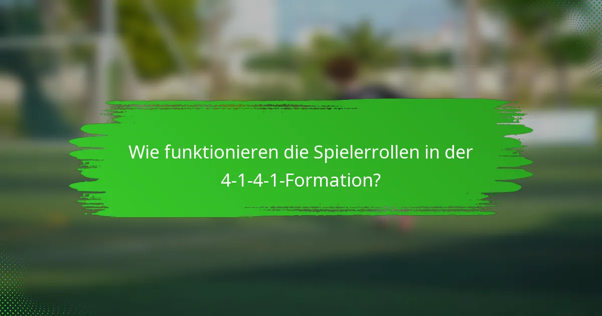 Wie funktionieren die Spielerrollen in der 4-1-4-1-Formation?