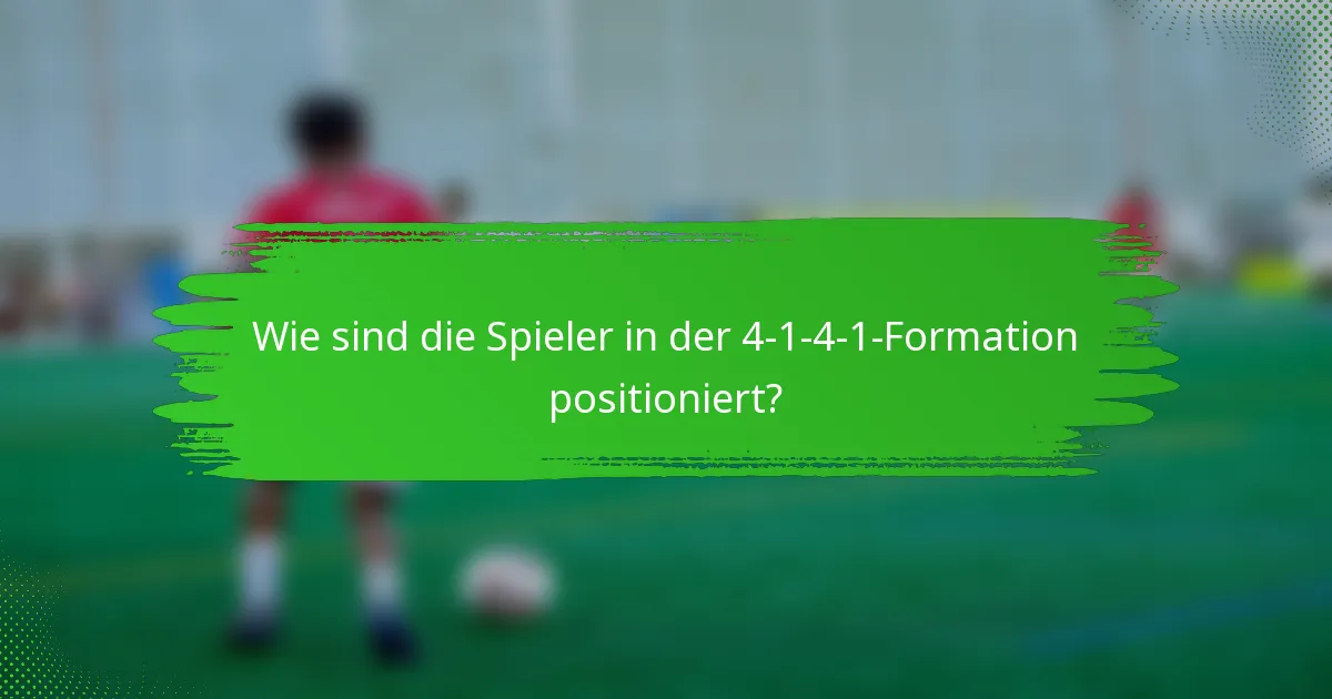 Wie sind die Spieler in der 4-1-4-1-Formation positioniert?